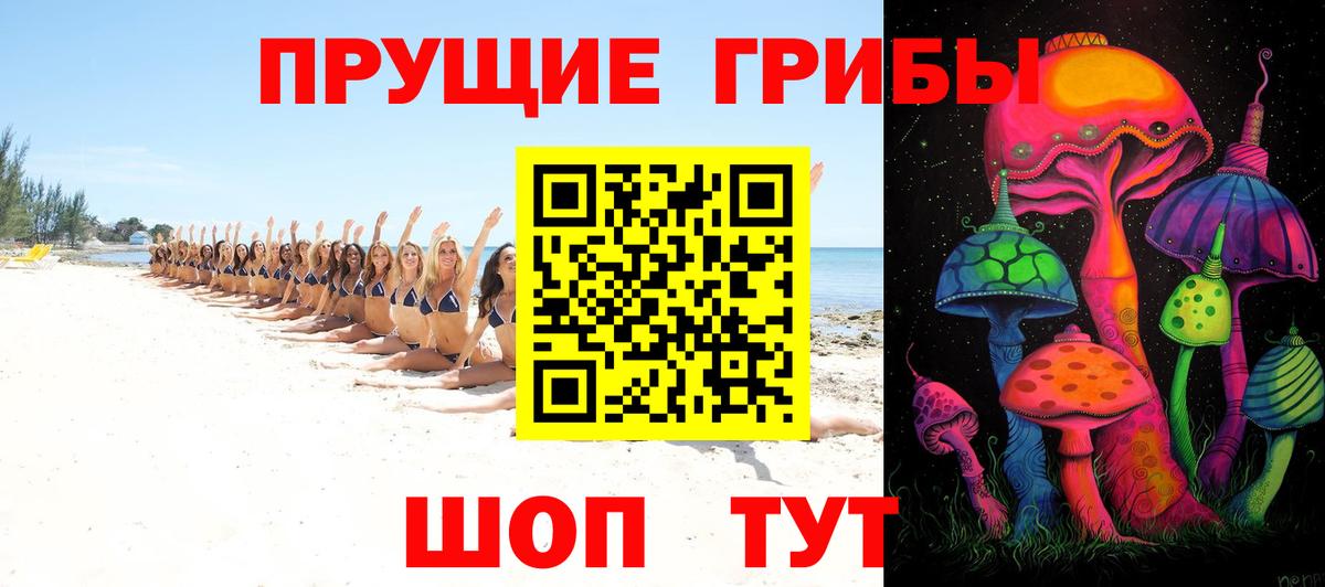 Галлюциногенные грибы GOLDEN TEACHER  Псилоцибиновые грибы прущие грибы  Тихорецк  Вход с VPN 